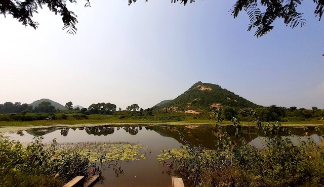 Tulin Heritage Bungalow