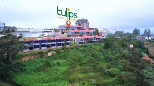 Tulips Resorts - Elkhill