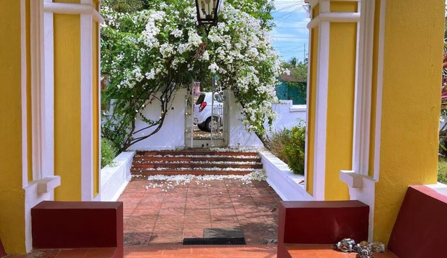 Turmeric Luxury, Aldona