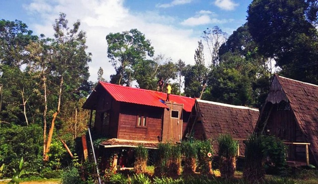 Turtle Pond Home Stay