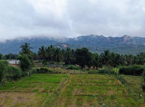 Tusker Trails Farm
