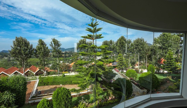 Twin Tree