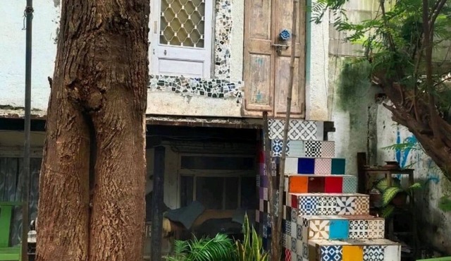 Unique & Cozy Cottage101
