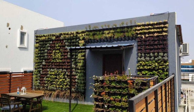 Unique Penthouse with vertical garden in heart of Gachibowli