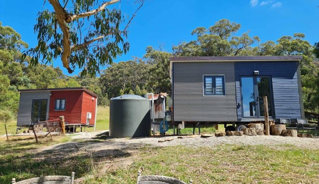 Unique two tiny homes set up with private dam in Hartley