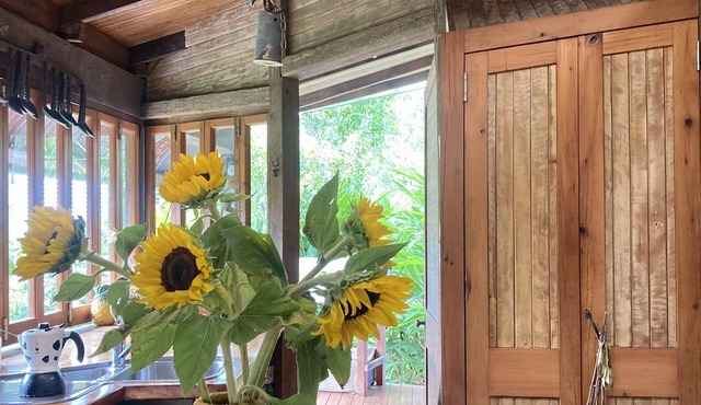 Vegetarian Retreat in Bollier