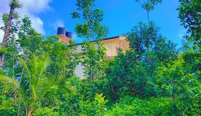 View point homestay Coorg !