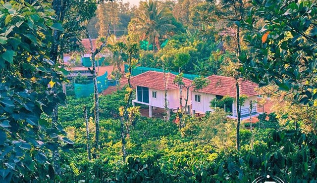 ViGo Homes