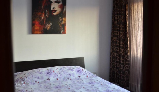 Vila cu trandafiri Cozy Apartments 2 camere