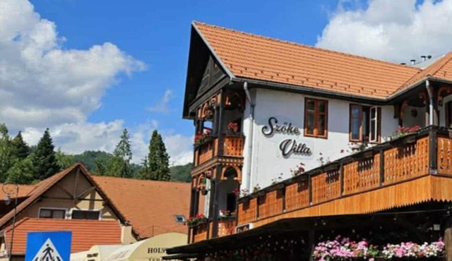 VILA SZOKE SOVATA