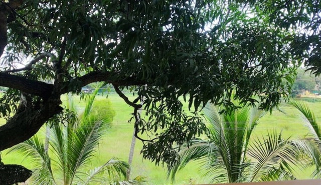 Villa Emmanuel 1BHK Holiday home (1) nr beach,Goa