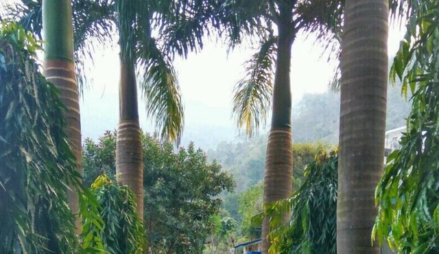 VNA Resort
