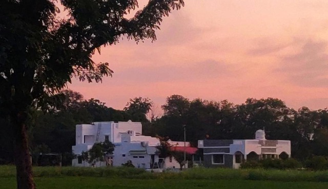 Vriksh Jawai The farm stay