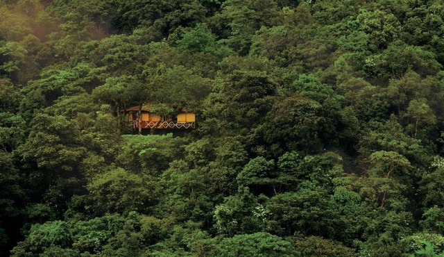 Vythiri Resort