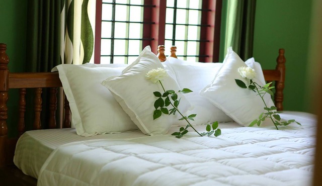 Wayanad Stay- The Coffee-suite