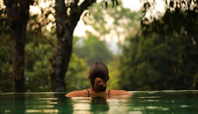 Wayanad Wild Rainforest lodge by CGH Earth