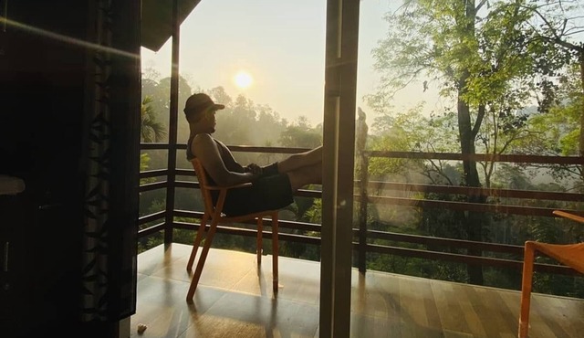 Wayand Whistling Woods
