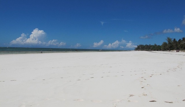WELCOME TO ANOTHER WORLD in Diani