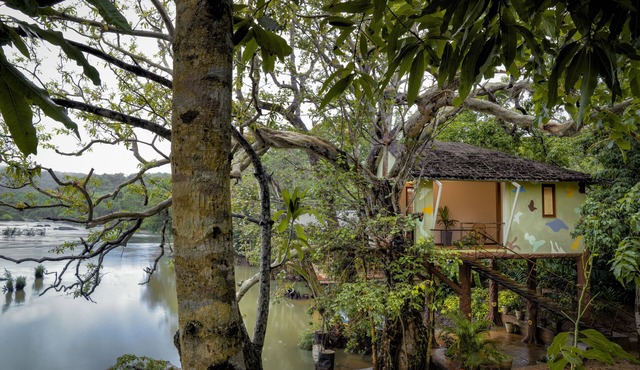 Whistling Woodzs Resort