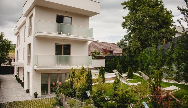 White House Iris Cluj Napoca - Apartament 4