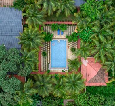 White Truffle Resort, Arambol