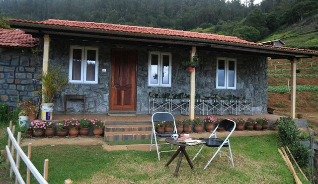 Wild and Free Farm Stay