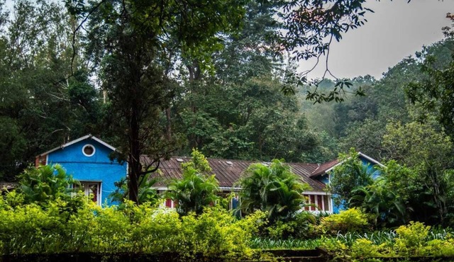 Wild Flower Homestay