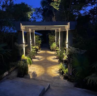 Wilderness Jungle Camp