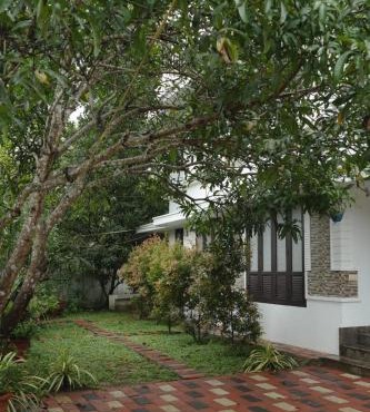Willy's Home Stay