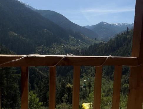 wolf moon camps in Jibhi