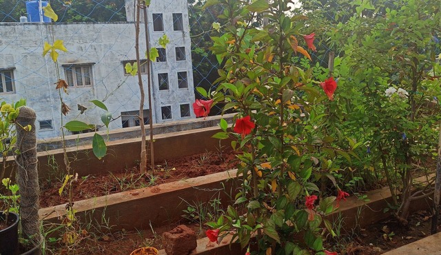 Wonderful 1-bedroom building in soothing Hyderabad near Uppal Stadium Metro
