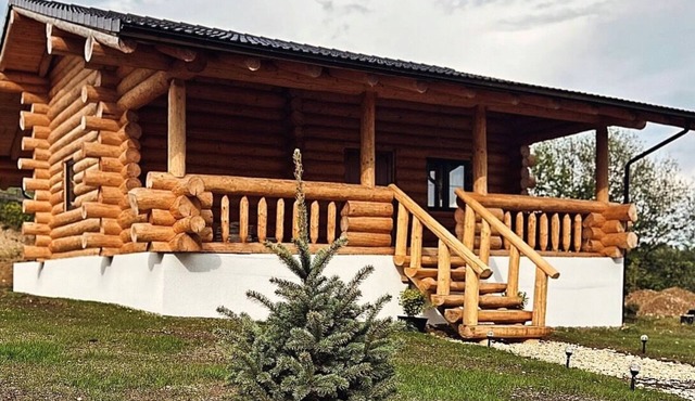 Wonderful 2-bedroom Vega Chalet in charming Brasov,Holbav for a cozy getaway