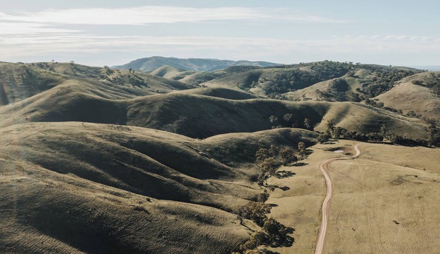 Working Merino Farm Stays in Horrocks Pass, Flinders Ranges in Nectar Brook