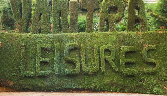 Yantra Resort Ooty