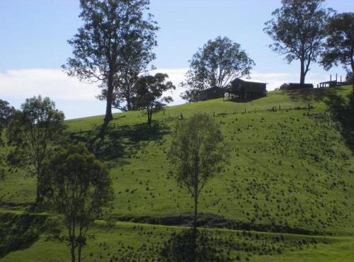 Yasuragi Cabins in Brogo