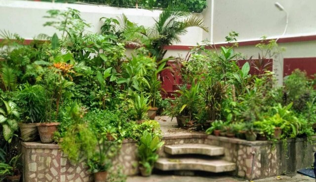 Yellowbrick-Calcutta's Freshest BnB