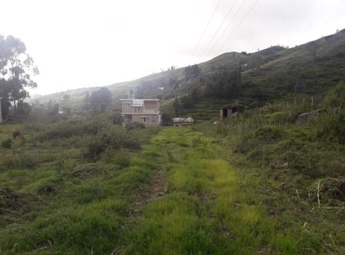 Zirku Garden Kodaikanal