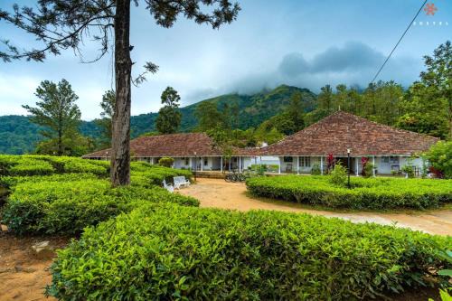 Zostel Plus Wayanad