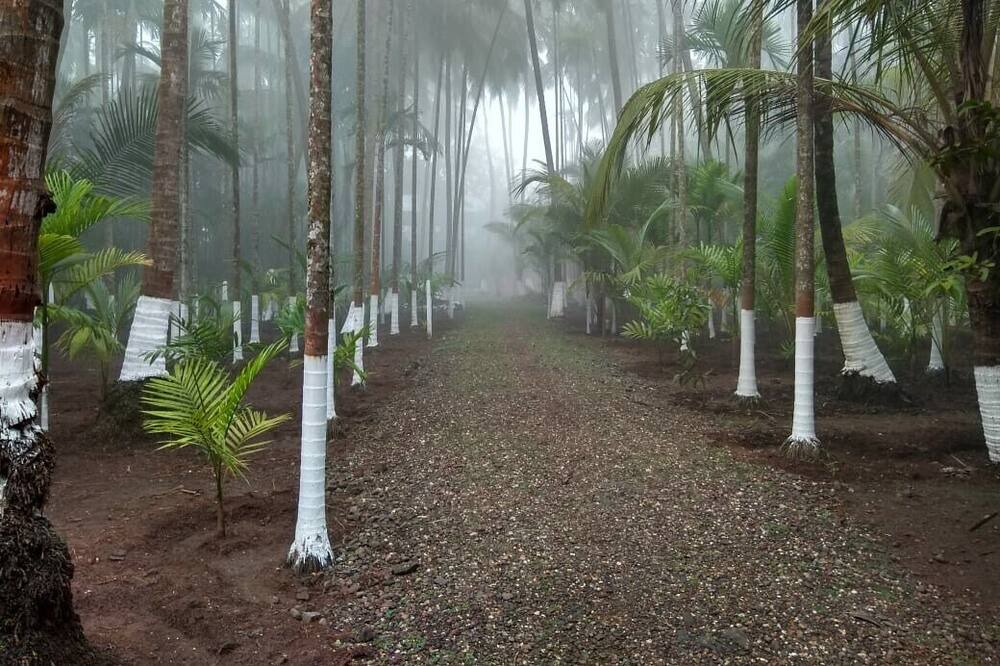 Alibaug House | Anandamay is the place for relaxation with your loved ones & perfect for couples