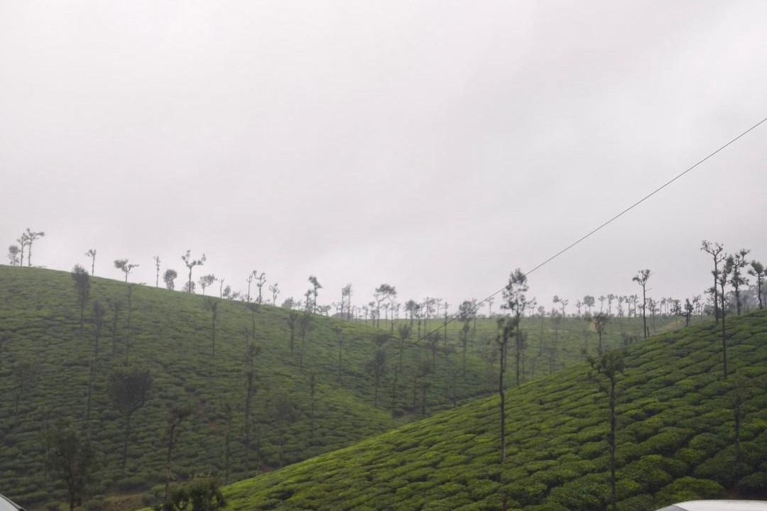 Valparai House | Valparai home stay