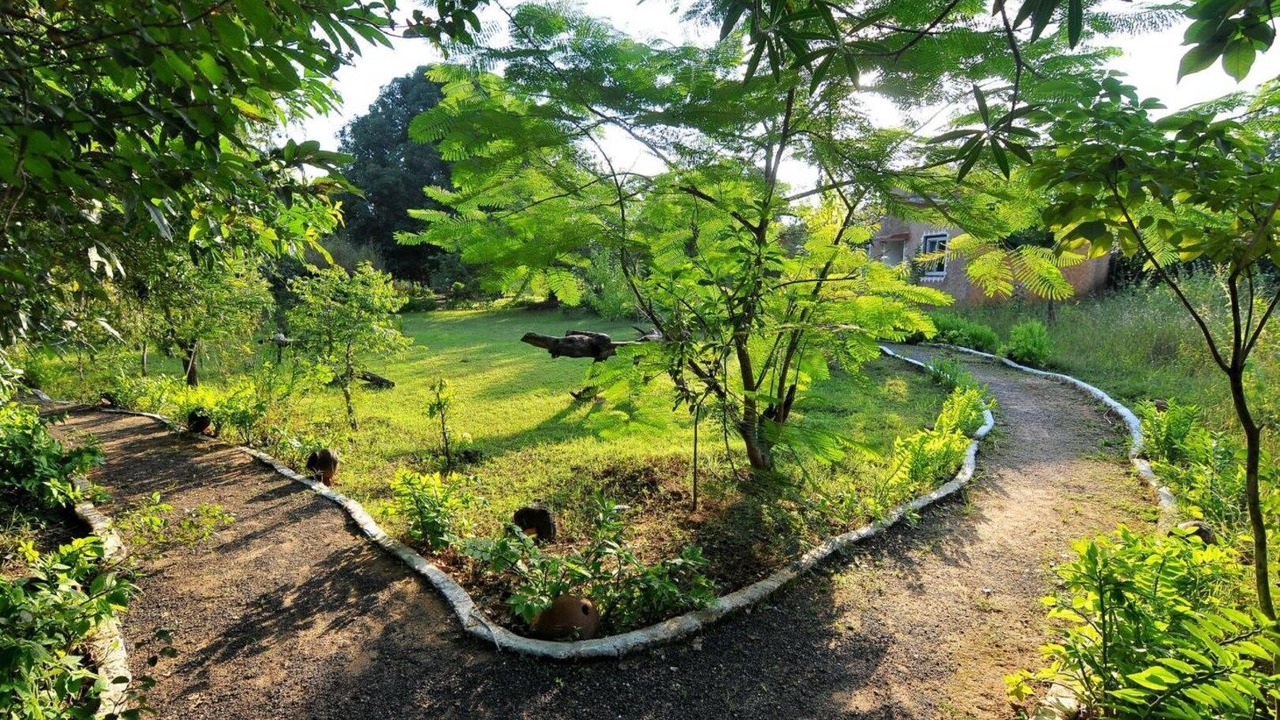 Photo of Outdoor in Boda Chhapri