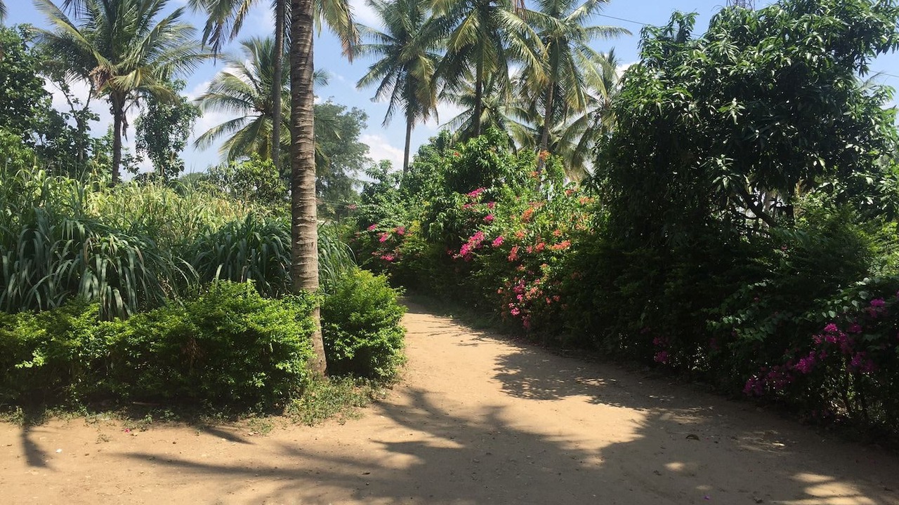 Photo of Outdoor in Masinagudi