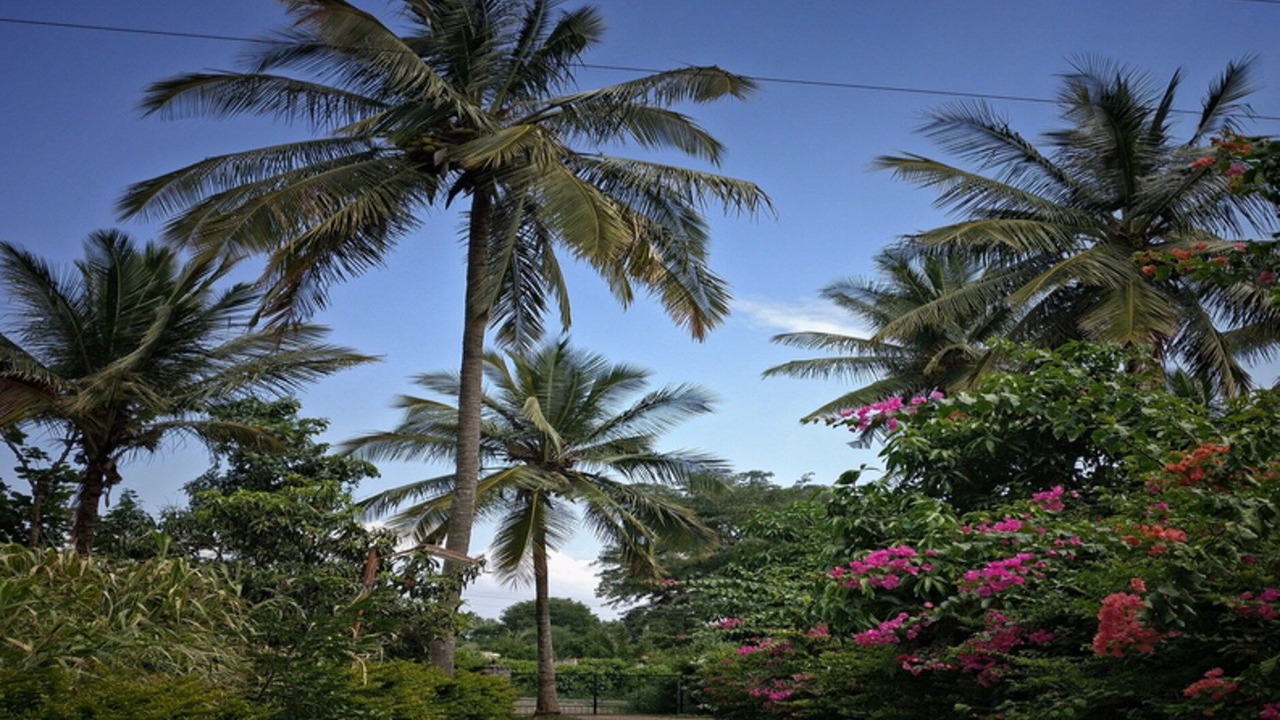 Photo of Outdoor in Masinagudi