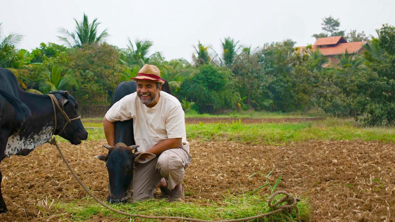 Photo of Human In Picture in Wai