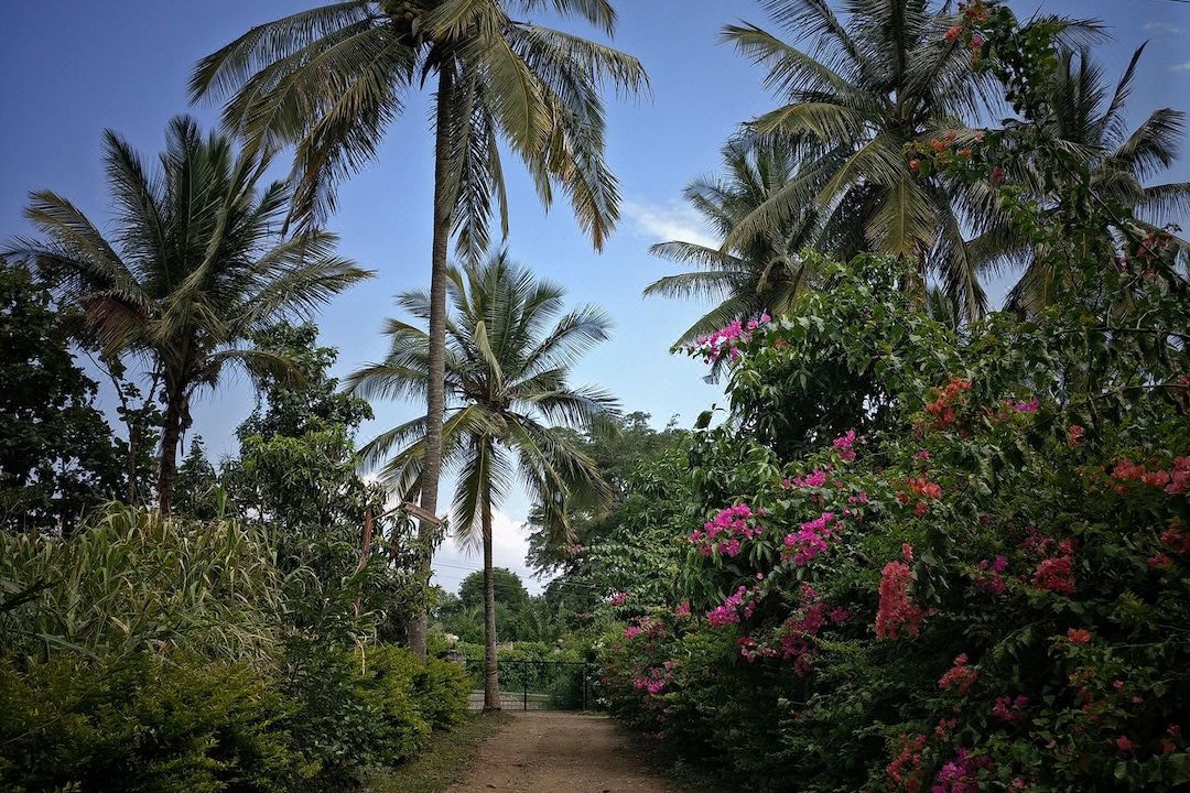 Photo of Outdoor in Masinagudi