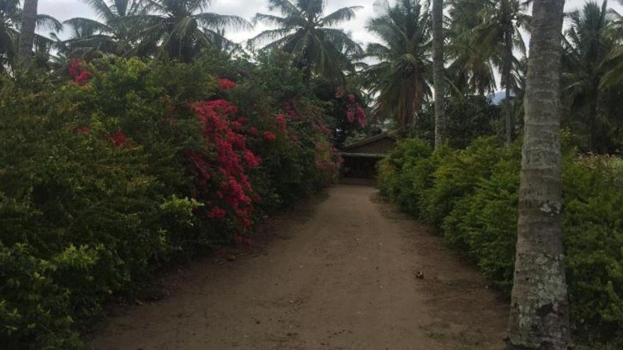 Photo of Outdoor in Masinagudi