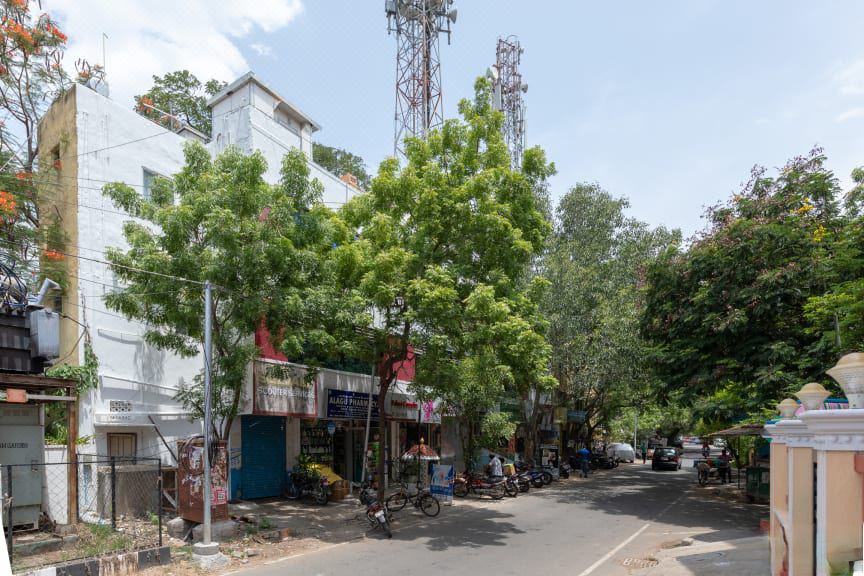 Photo of Others in Adyar