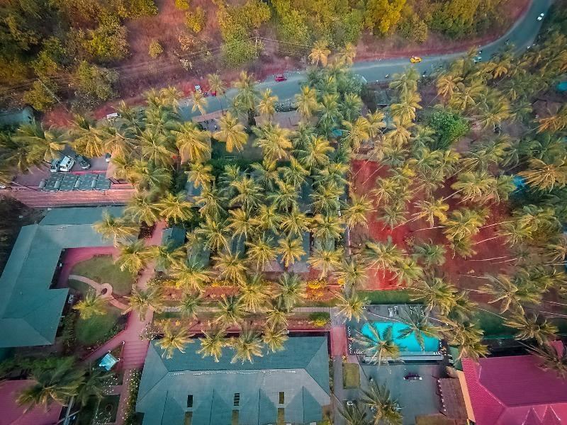Photo of Outdoor in Mandrem