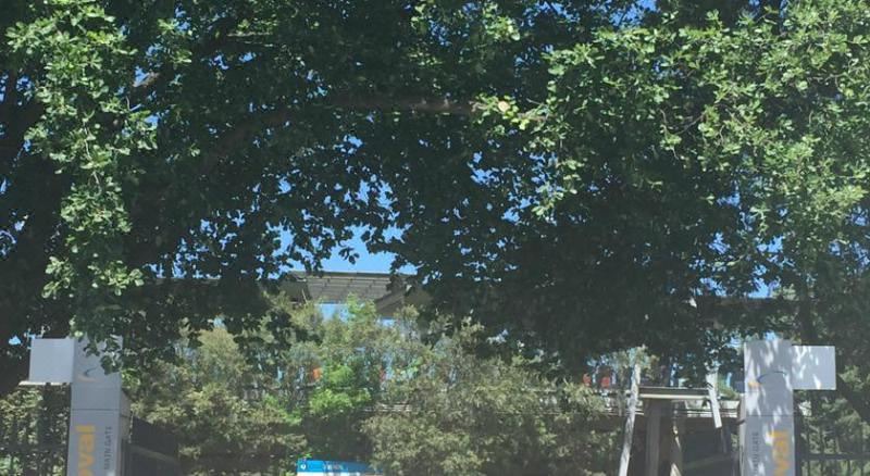 Photo of Buildings in Kingston