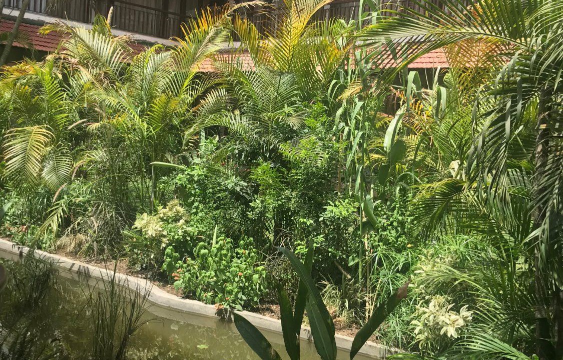 Photo of Buildings in Maharana Pratap Nagar